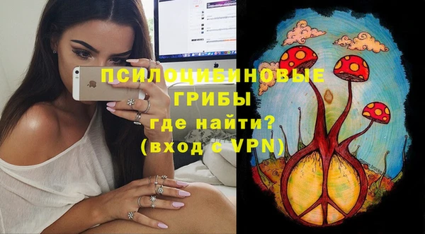 сатива Богданович