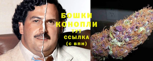 сатива Богданович