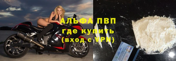 сатива Богданович