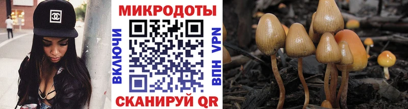 KRAKEN онион  как найти   Менделеевск  Галлюциногенные грибы прущие грибы 