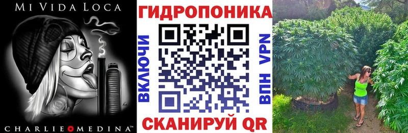 Каннабис план  Менделеевск 